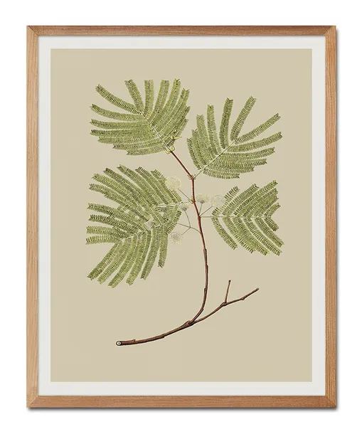 obraz-plakat-na-plotnie-przyroda-43x53cm