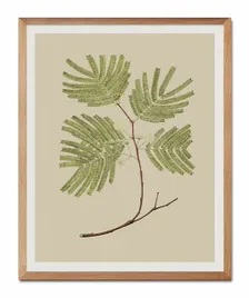 obraz-plakat-na-plotnie-przyroda-43x53cm