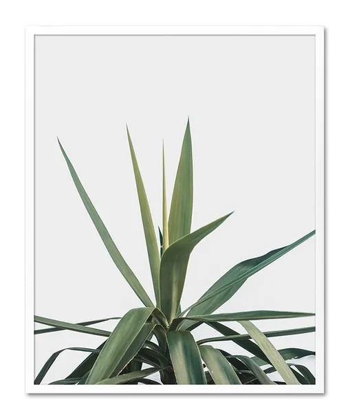 obraz-plakat-na-plotnie-przyroda-43x53cm