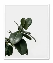 obraz-plakat-na-plotnie-przyroda-43x53cm