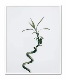 obraz-plakat-na-plotnie-przyroda-43x53cm