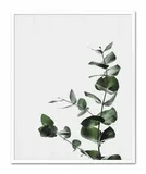 obraz-plakat-na-plotnie-przyroda-43x53cm