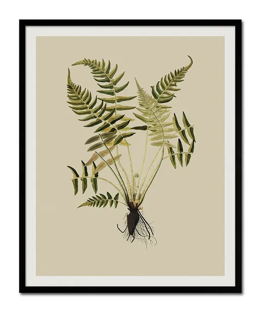 obraz-plakat-na-plotnie-przyroda-43x53cm