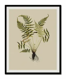 obraz-plakat-na-plotnie-przyroda-43x53cm