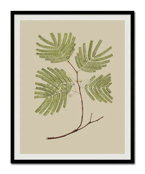 obraz-plakat-na-plotnie-przyroda-43x53cm