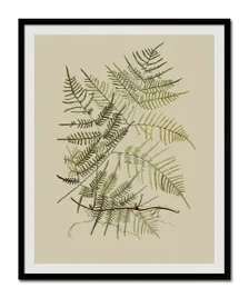 obraz-plakat-na-plotnie-przyroda-43x53cm