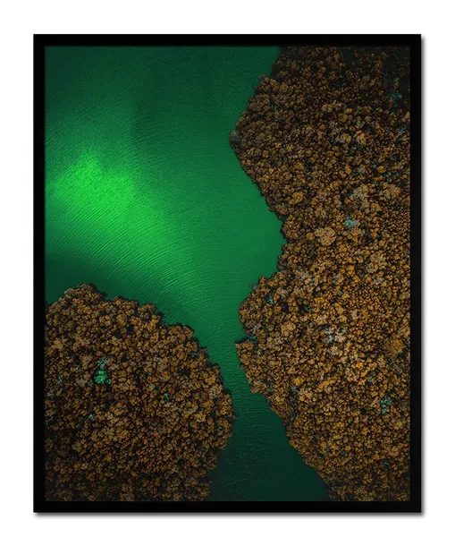 obraz-plakat-na-plotnie-przyroda-43x53cm