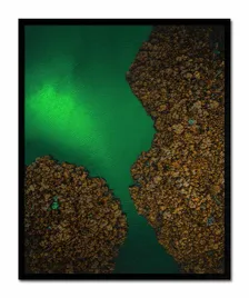 obraz-plakat-na-plotnie-przyroda-43x53cm