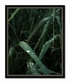 obraz-plakat-na-plotnie-przyroda-43x53cm