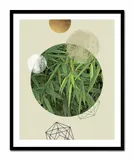 obraz-plakat-na-plotnie-przyroda-43x53cm