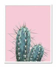 obraz-na-plotnie-kaktusy-glamour-43x53cm