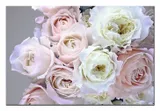 obraz-plakat-na-plotnie-glamour-60x90cm