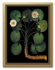 obraz-na-plotnie-kwitnaca-dzungla-33x43cm