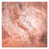 obraz-na-plotnie-rozowy-kosmos-60x60cm