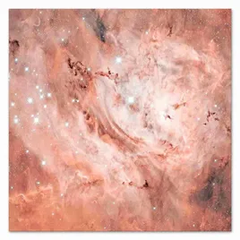 obraz-na-plotnie-rozowy-kosmos-60x60cm