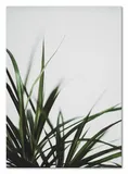 obraz-plakat-na-plotnie-50x70cm