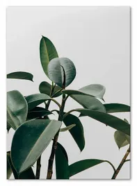 obraz-plakat-na-plotnie-50x70cm