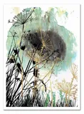 obraz-plakat-na-plotnie-50x70cm
