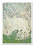 obraz-plakat-na-plotnie-50x70cm