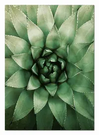 obraz-plakat-na-plotnie-50x70cm