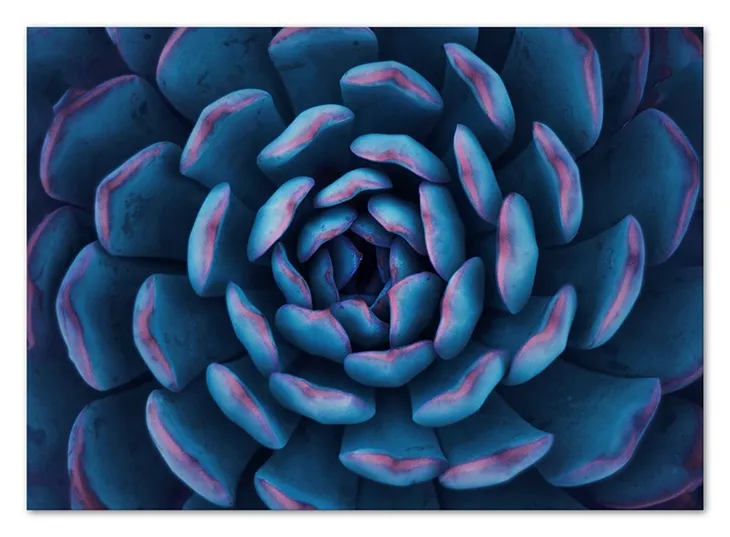 obraz-plakat-na-plotnie-50x70cm
