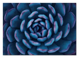 obraz-plakat-na-plotnie-50x70cm
