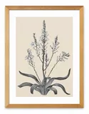 obraz-plakat-na-plotnie-33x43cm