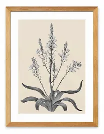 obraz-plakat-na-plotnie-33x43cm