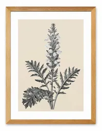 obraz-plakat-na-plotnie-33x43cm
