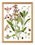 obraz-plakat-na-plotnie-33x43cm