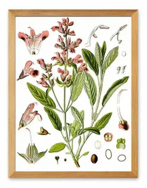obraz-plakat-na-plotnie-33x43cm