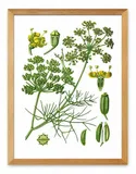 obraz-plakat-na-plotnie-33x43cm