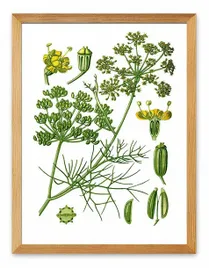 obraz-plakat-na-plotnie-33x43cm