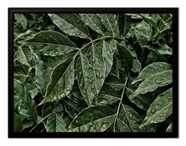 obraz-plakat-na-plotnie-33x43cm