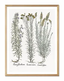 obraz-na-plotnie-ziola-33x43cm