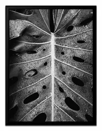 obraz-plakat-na-plotnie-glamour-33x43cm
