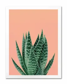 obraz-na-plotnie-aloes-33x43cm