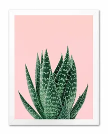 obraz-na-plotnie-aloes-33x43cm