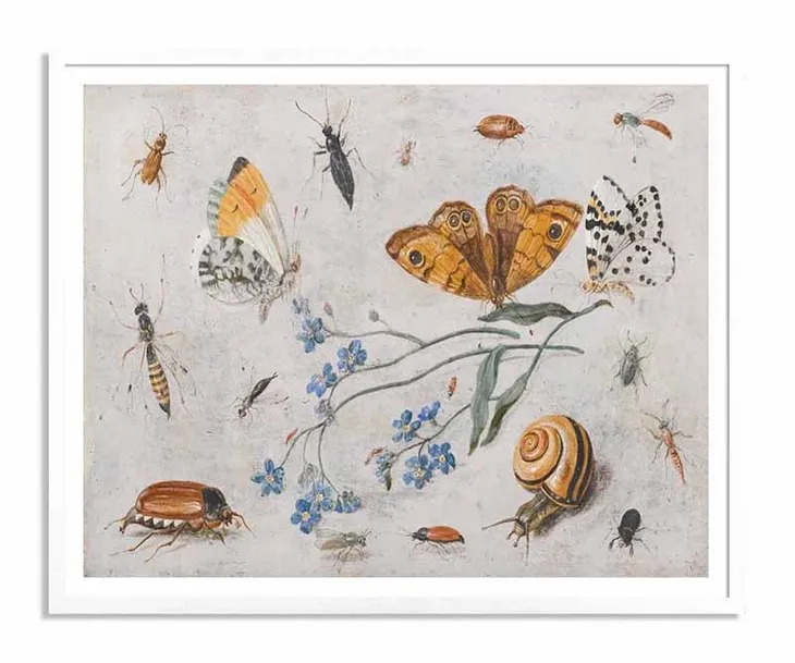 obraz-na-plotnie-koncert-motyli-33x43cm