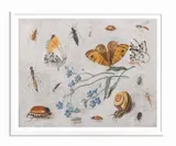obraz-na-plotnie-koncert-motyli-33x43cm