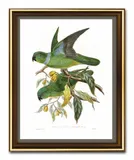 obraz-na-plotnie-ptak-dzungli-23x28cm