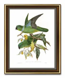 obraz-na-plotnie-ptak-dzungli-23x28cm