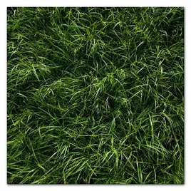 obraz-plakat-na-plotnie-40x40cm