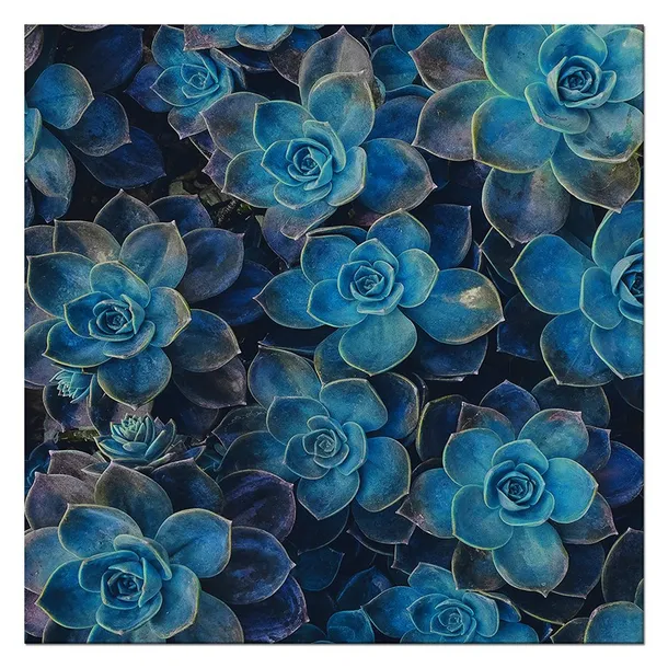 obraz-plakat-na-plotnie-30x30cm