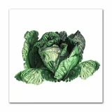 obraz-plakat-na-plotnie-30x30cm