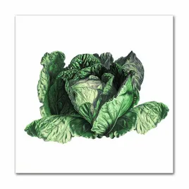 obraz-plakat-na-plotnie-30x30cm