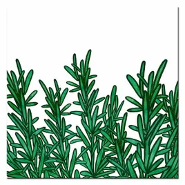 obraz-na-plotnie-ziola-30x30cm