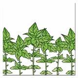 obraz-na-plotnie-ziola-30x30cm