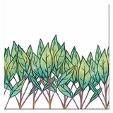 obraz-na-plotnie-ziola-30x30cm