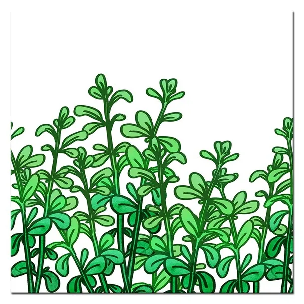 obraz-na-plotnie-ziola-30x30cm